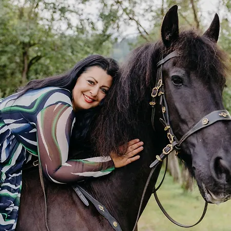 Daire Andis Reiterstueberl, Rainweg 1 , 9311 Ueberfeld Sankt Veit an der Glan