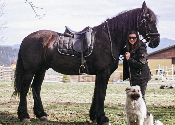 Andis Reiterstueberl, Rainweg 1 , 9311 Ueberfeld *