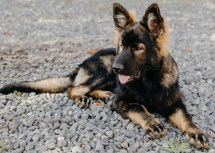 Andis Reiterstueberl, Rainweg 1 , 9311 Ueberfeld Daire