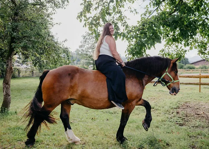 Daire Andis Reiterstueberl, Rainweg 1 , 9311 Ueberfeld