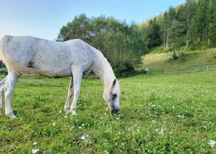 Andis Reiterstueberl, Rainweg 1 , 9311 Ueberfeld דירה *