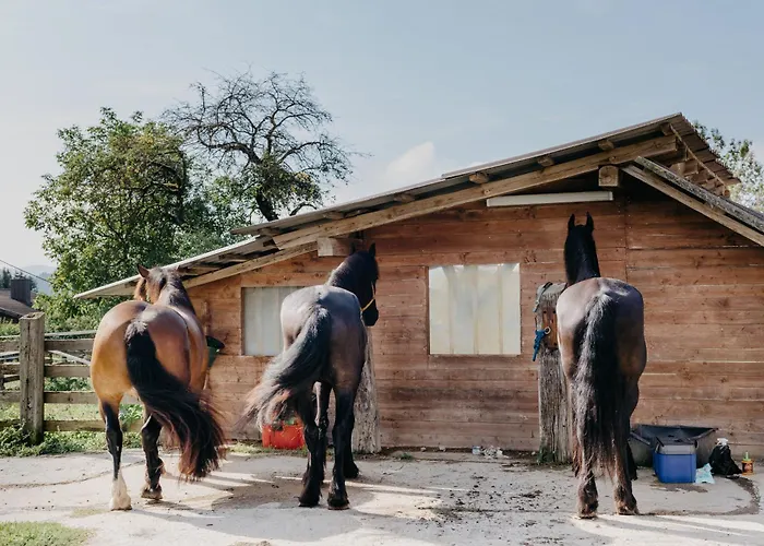 דירה Andis Reiterstueberl, Rainweg 1 , 9311 Ueberfeld סנט ויט אן דר גלאן