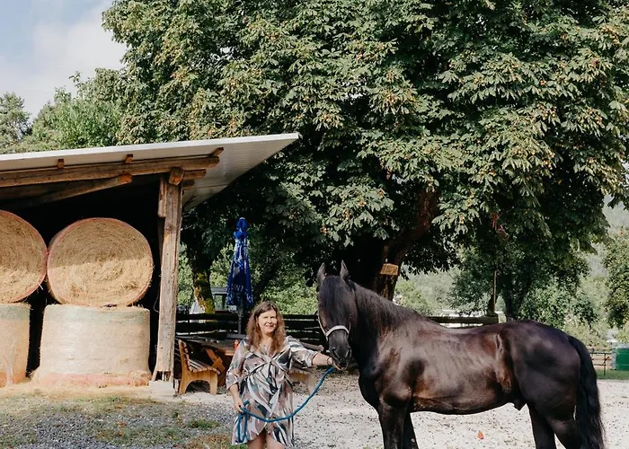 Andis Reiterstueberl, Rainweg 1 , 9311 Ueberfeld * Sankt Veit an der Glan